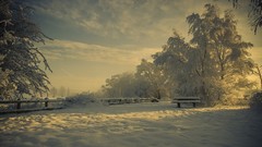 Landscapes sunset nature Trees snow winter clouds skies