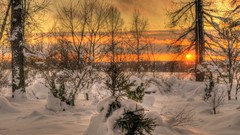 Landscapes sunset nature Trees snow winter clouds skylines