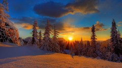 Landscapes sunset nature Trees snow winter forests skylines