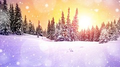 Landscapes sunset nature Trees snow winter forests skylines