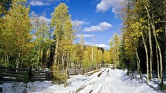 Landscapes sunset nature Trees snow winter land forests 