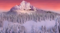 Landscapes sunset nature Trees snow winter Mountains forests 