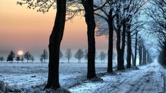 Landscapes sunset nature Trees snow winter roads skylines