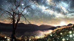 Landscapes sunset nature Trees Stars Mountains Plants lakes 