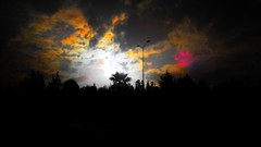 Landscapes sunset nature Trees sun clouds black and white 