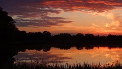 Landscapes sunset nature Trees sun Poland reflections