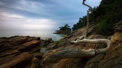 Landscapes sunset nature Trees water clouds ocean coast Seaside 