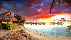 Landscapes sunset nature Trees water clouds ocean red Green 