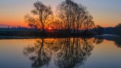Landscapes sunset nature Trees water sun England surface 