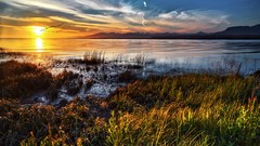 Landscapes sunset nature water