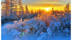 Landscapes sunset nature winter