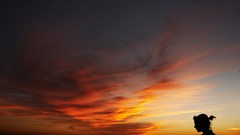 Landscapes sunset nature woman silhouettes