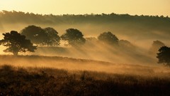 Landscapes sunset Netherlands national park