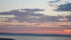 Landscapes sunset ocean shore skyscapes