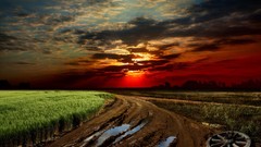 Landscapes sunset roads