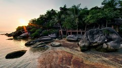 Landscapes sunset sand nature Trees water ocean coast Green 