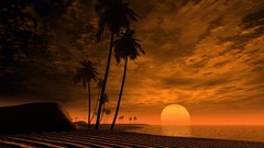 Landscapes sunset sand Sea sun clouds palm trees Beaches night 