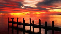 Landscapes sunset Sea