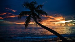 Landscapes sunset Sea nature clouds ocean palm trees waves 
