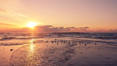 Landscapes sunset Sea nature grass sun Mountains clouds ocean 