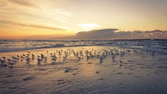 Landscapes sunset Sea nature grass sun Mountains clouds ocean 