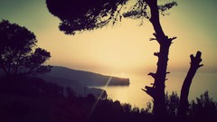 Landscapes sunset Sea nature Trees Beaches sunlight