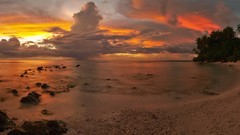Landscapes sunset Sea nature Trees yellow clouds ocean red 