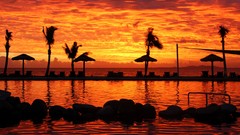 Landscapes sunset Sea nature water coast orange Fiji palm trees 