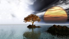 Landscapes sunset Sea Trees clouds