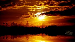 Landscapes sunset silhouettes