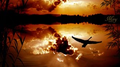 Landscapes sunset silhouettes