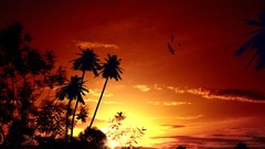 Landscapes sunset silhouettes