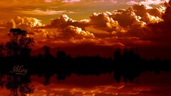 Landscapes sunset silhouettes