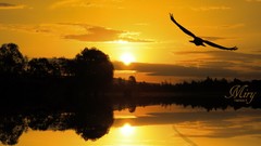 Landscapes sunset silhouettes