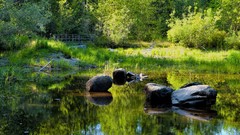 Landscapes sunset stones nature Trees water Green lagoon lakes