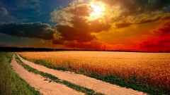 Landscapes sunset sun clouds roadside fields