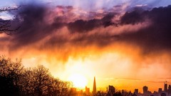 Landscapes sunset Trees blue clouds colors golden skies