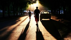 Landscapes sunset Trees cars shadows