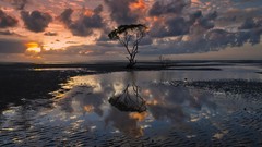 Landscapes sunset Trees clouds Australia skies