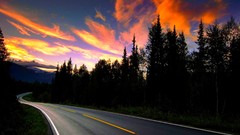 Landscapes sunset Trees clouds roads streets forests