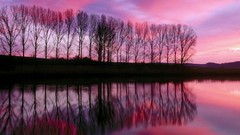 Landscapes sunset Trees lakes reflections