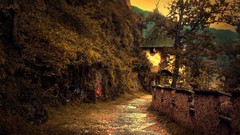 Landscapes sunset Trees paths