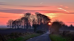 Landscapes sunset Trees roads natural