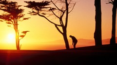 Landscapes sunset Trees silhouettes golf