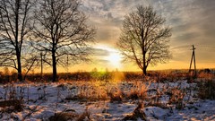 Landscapes sunset Trees snow winter clouds skyscapes