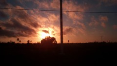 Landscapes sunset Trees sun dark red orange travel trance