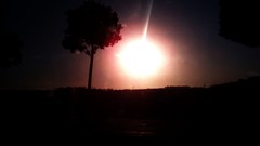 Landscapes sunset Trees sun dark red orange travel trance