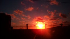 Landscapes sunset Trees sun dark red orange travel trance