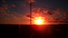 Landscapes sunset Trees sun dark red orange travel trance