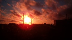 Landscapes sunset Trees sun dark red orange travel trance